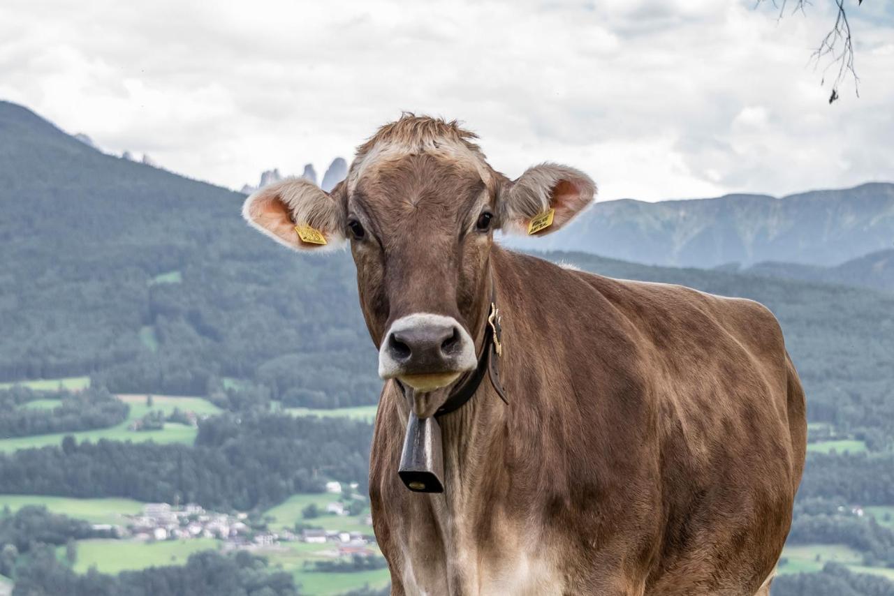 Sigmundhof Farm stay Bressanone