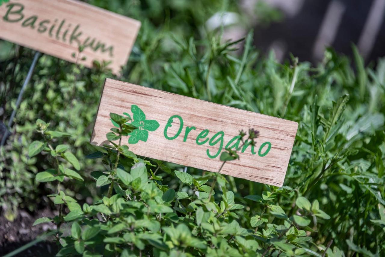 Sigmundhof Farm stay Bressanone